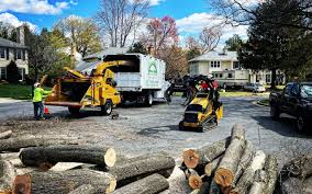 Best Tree Preservation Services  in Etna, PA