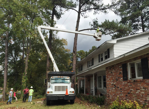 Mulching Services in Etna, PA